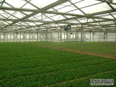 農業好色先生APP下载設備使用方法